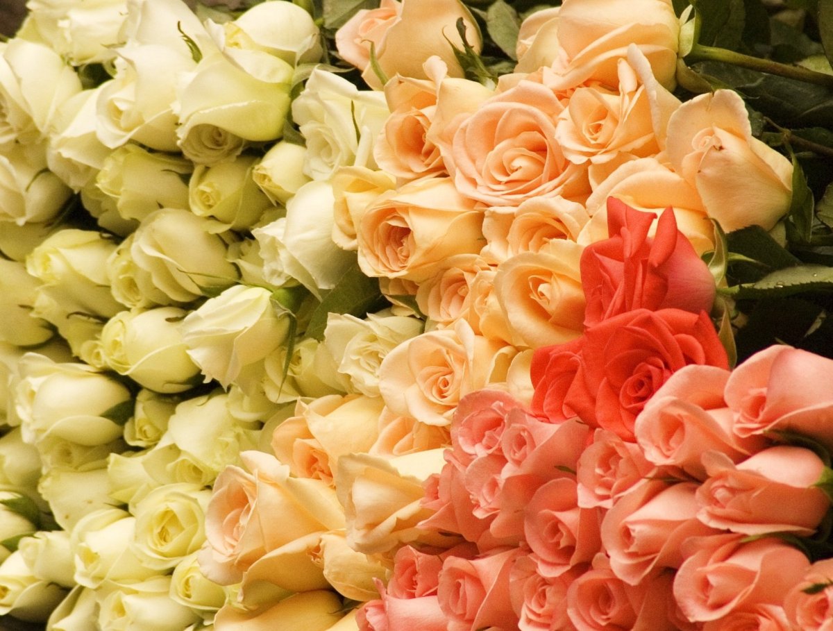 Роскошный букет