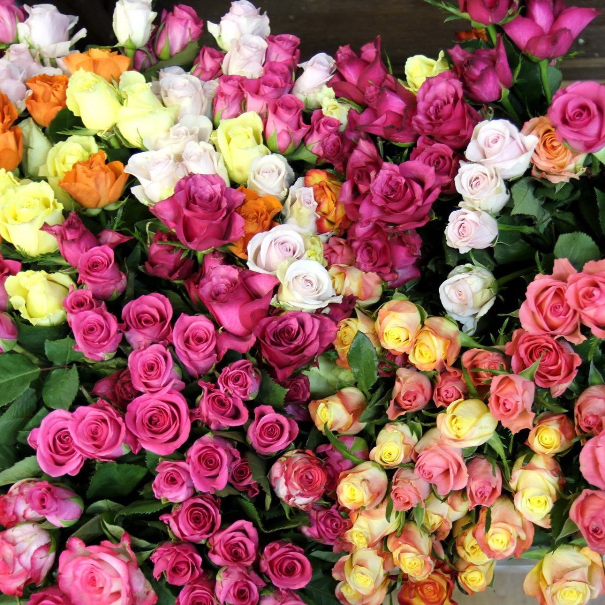 Много разных цветов