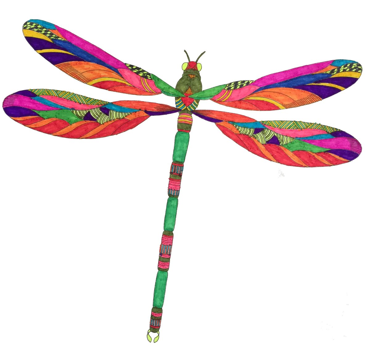 Стрекоза скетч