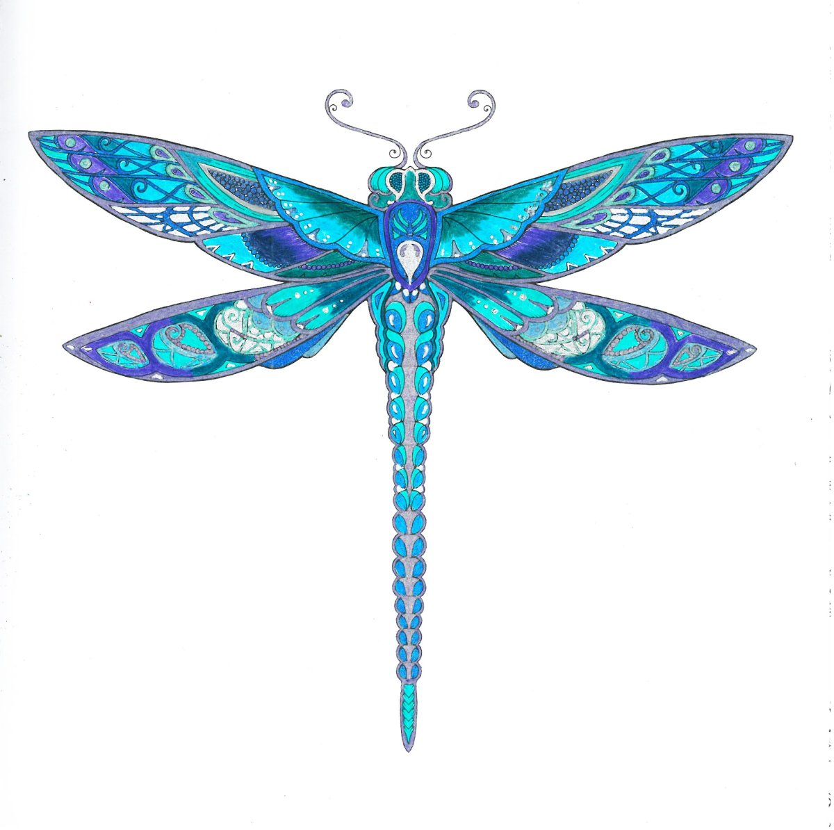 Стрекоза Ботаническая иллюстрация