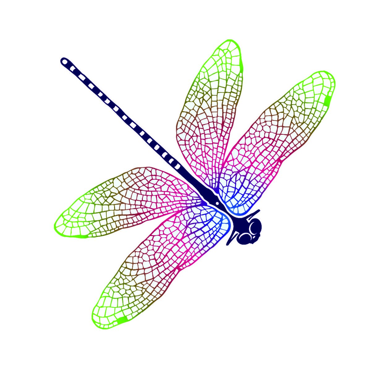 Стрекоза gif на прозрачном фоне