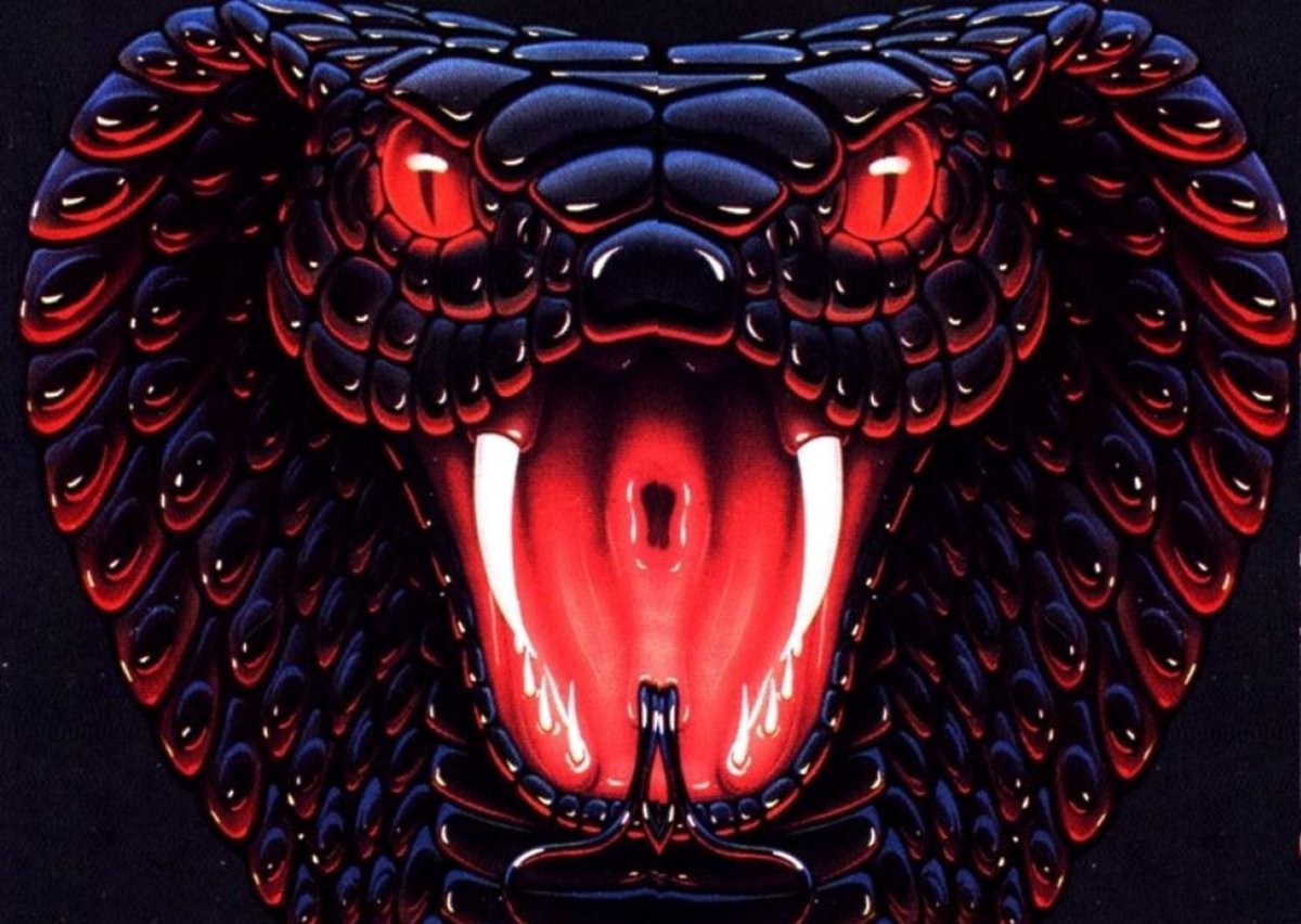 Академия нагов Татьяна Мираббилис