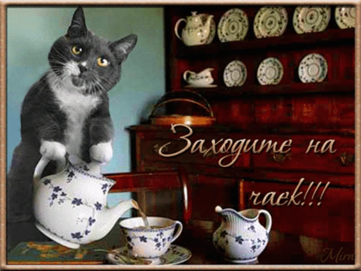 Открытка заходи на чаек