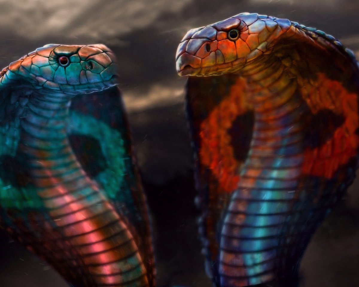 Королевская Кобра в хорошем качестве