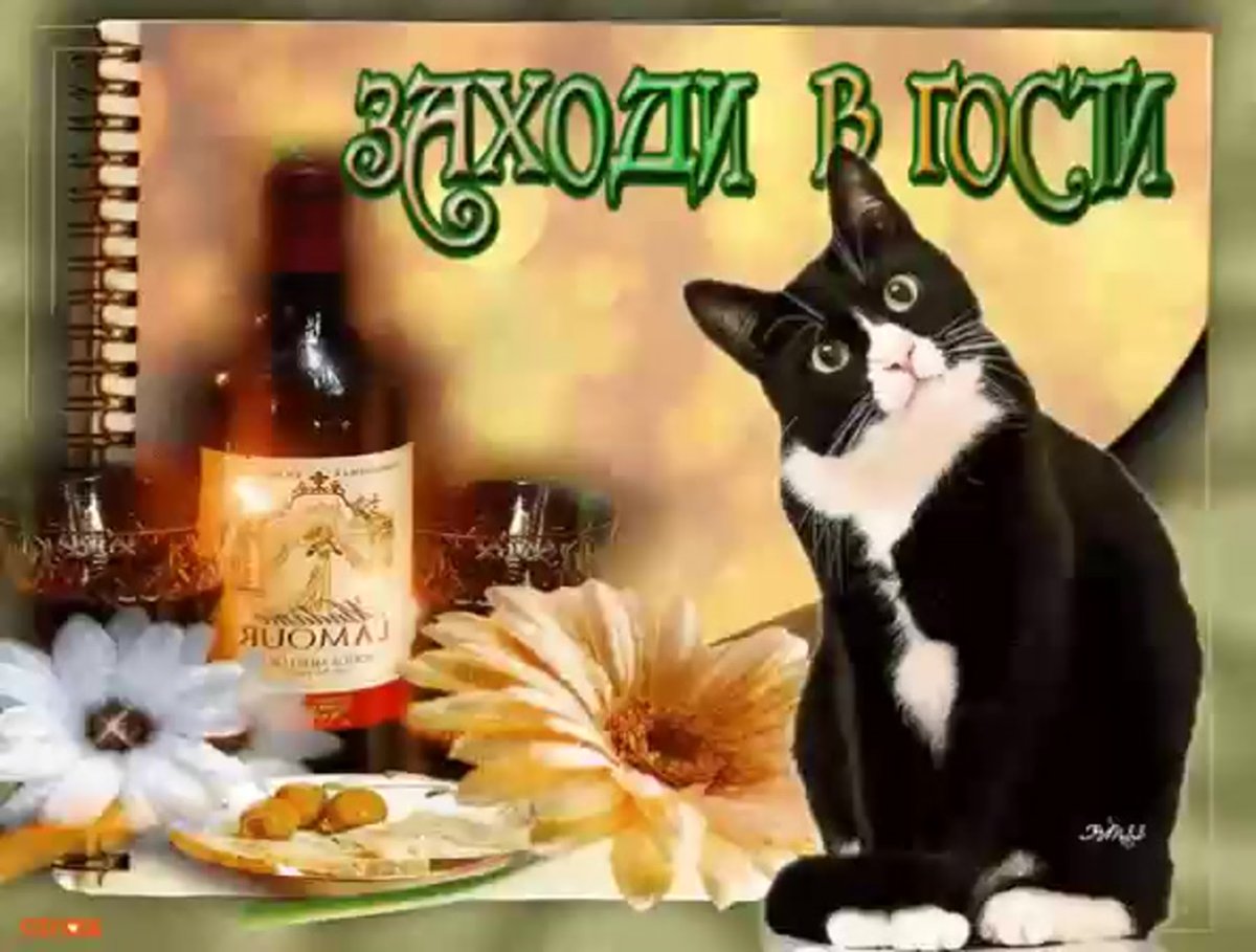 Приглашение в гости