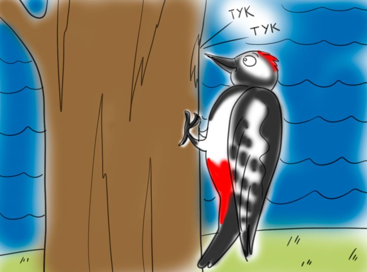 Живопись дятел на Березе