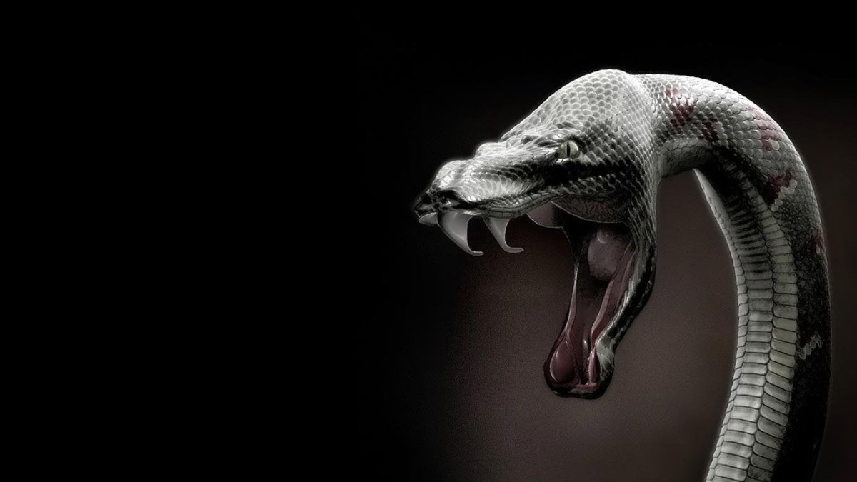 Страшные змея черный