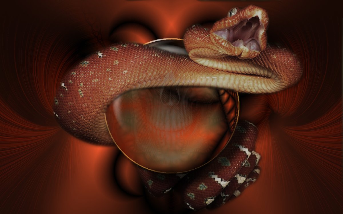 Красивая змея обои