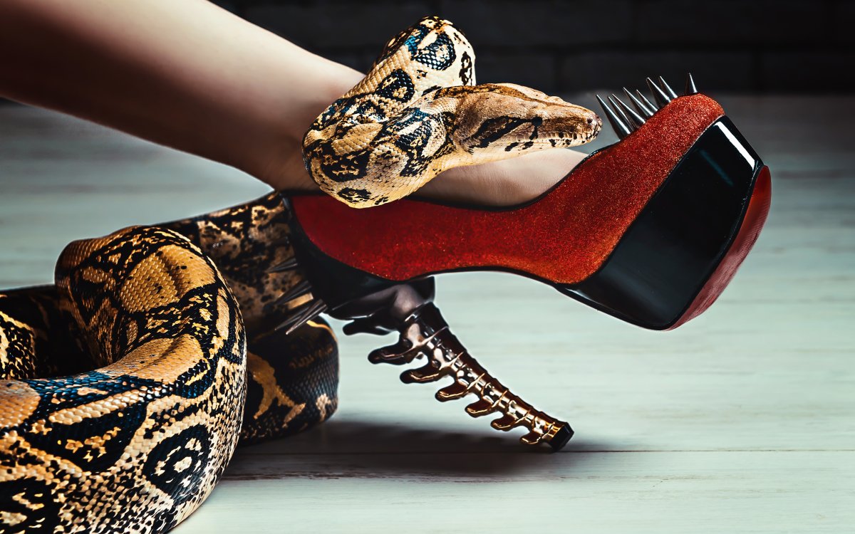 Туфли Кобра