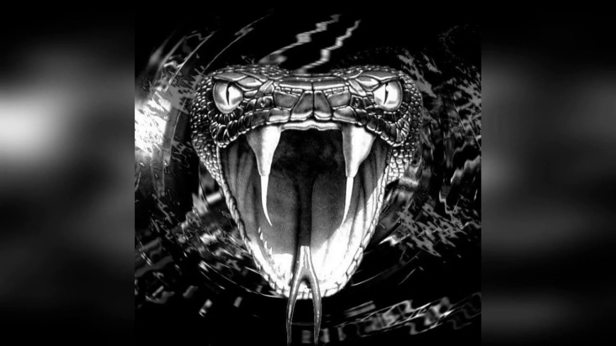 Змея с открытой пастью арт