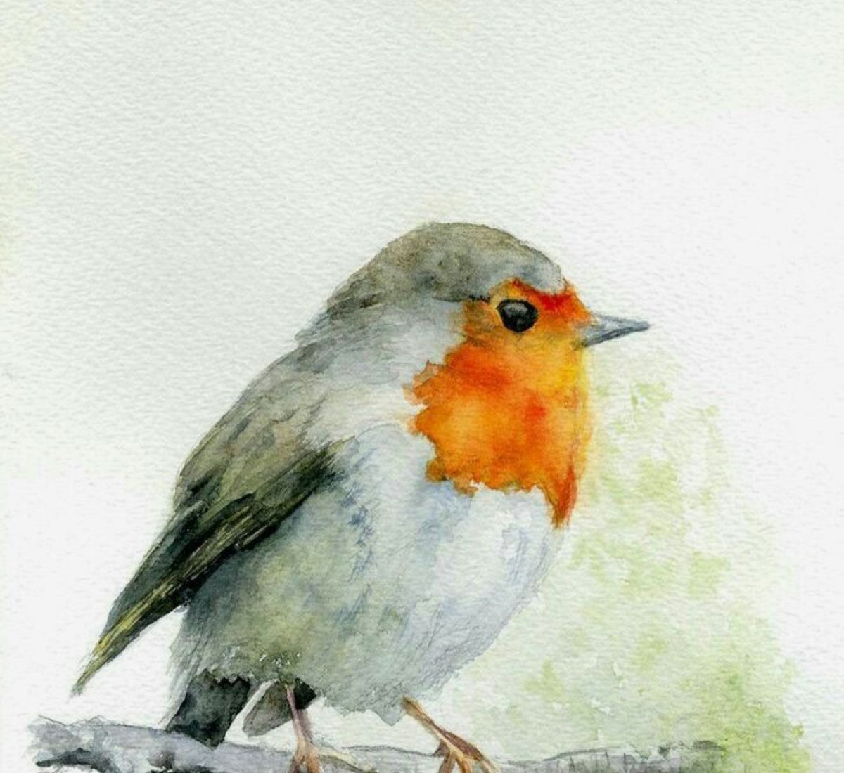 Птичка Зарянка акварель
