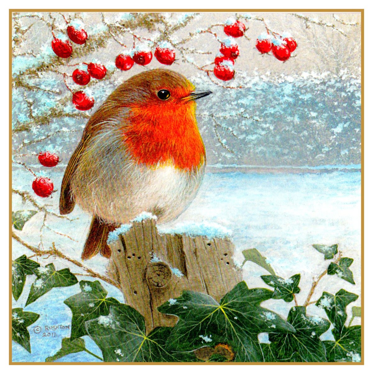 Птичка Зарянка живопись