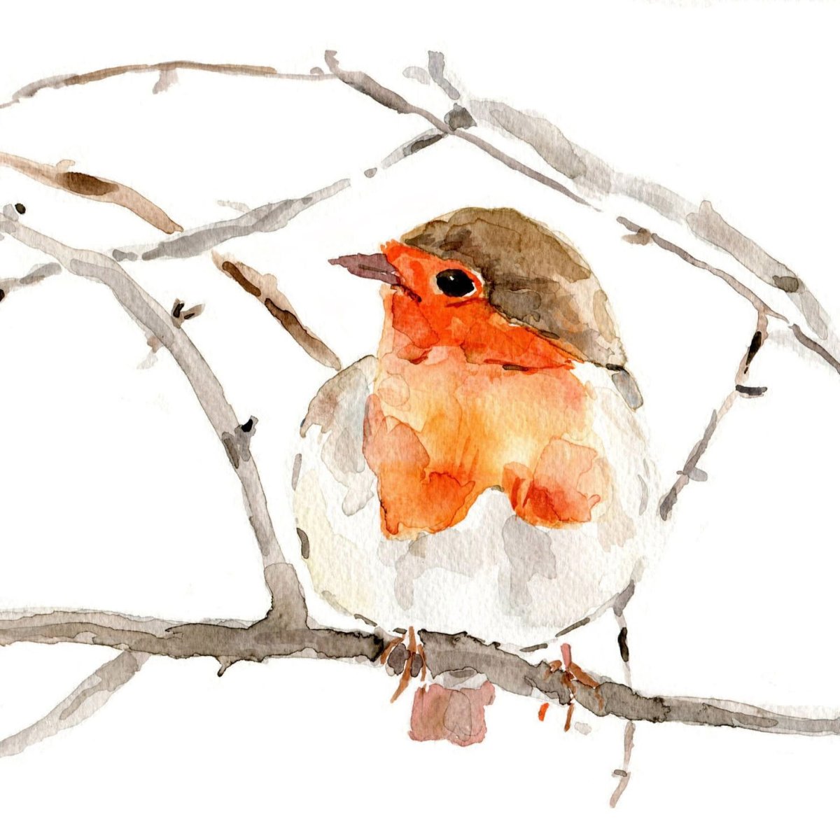 Зарянка акварель