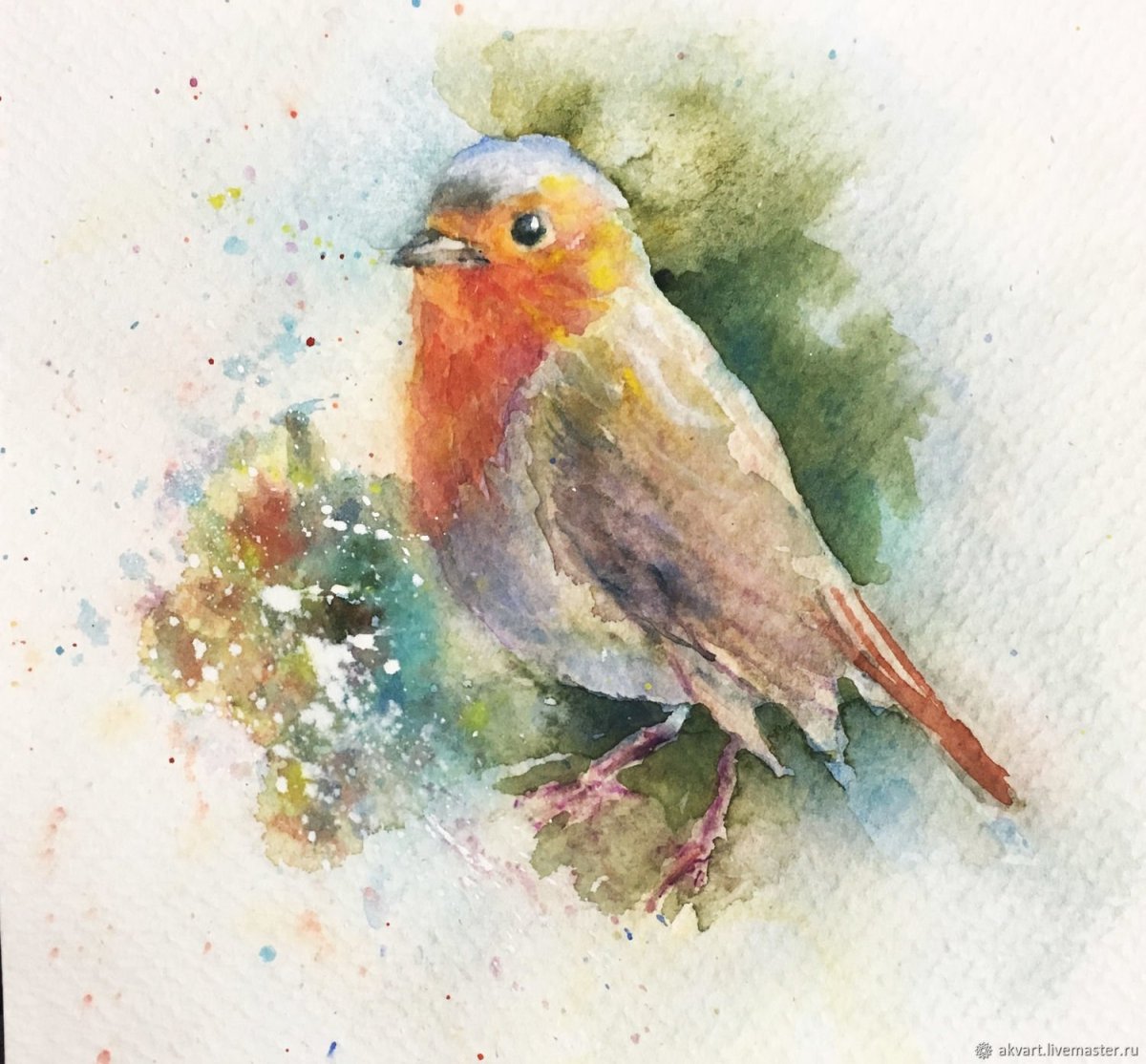 Птичка Зарянка акварель