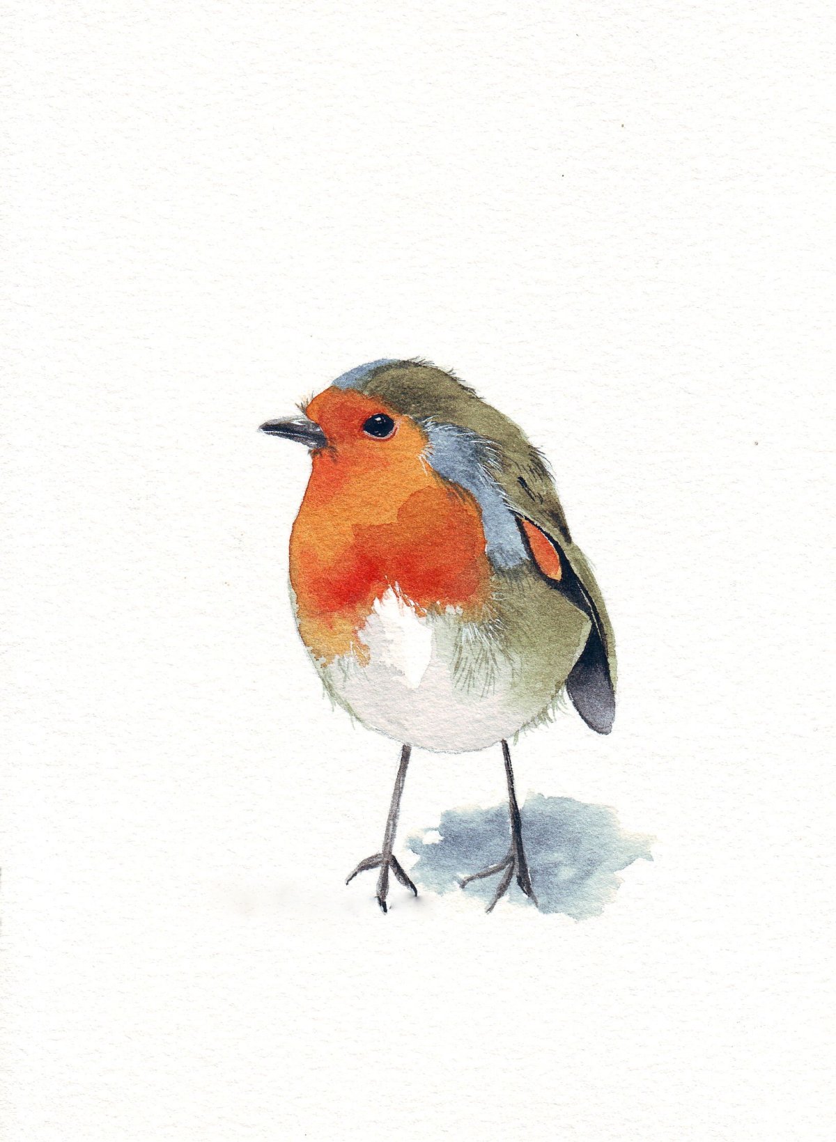 Малиновка Зарянка акварелью