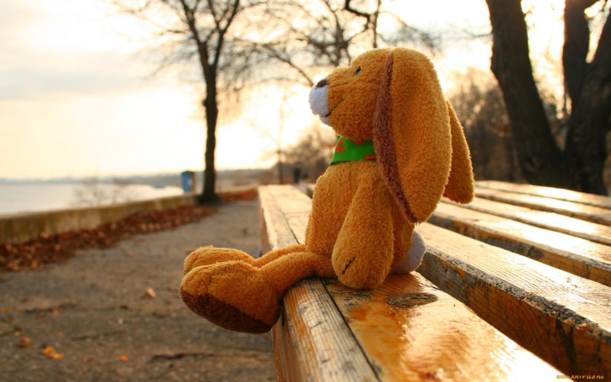 Зайка промок до ниточки