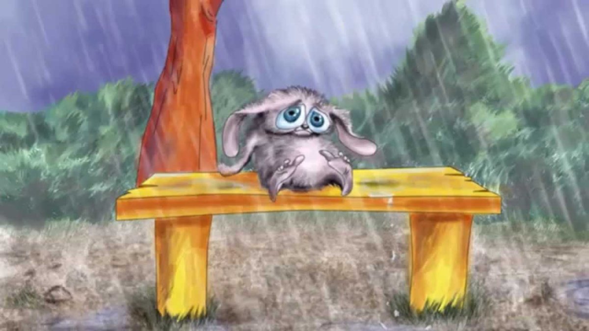 Зайчик под дождем