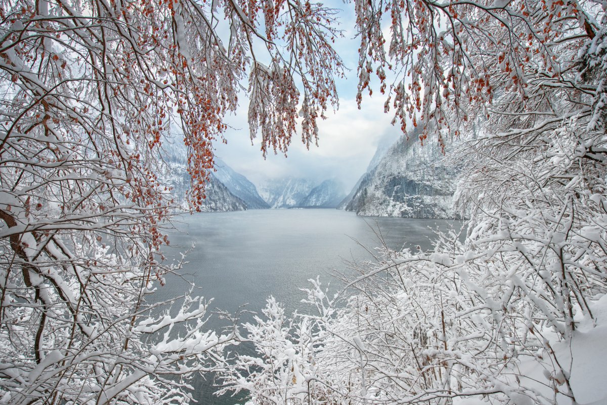 Ноябрь пейзаж