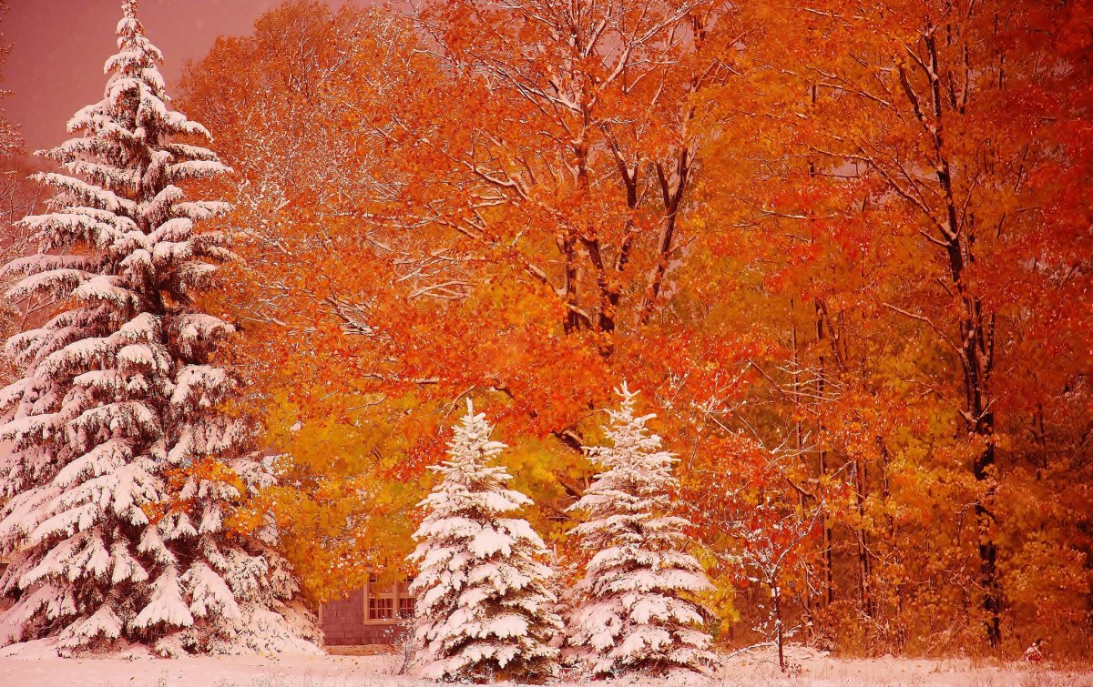 Межсезонье осень зима