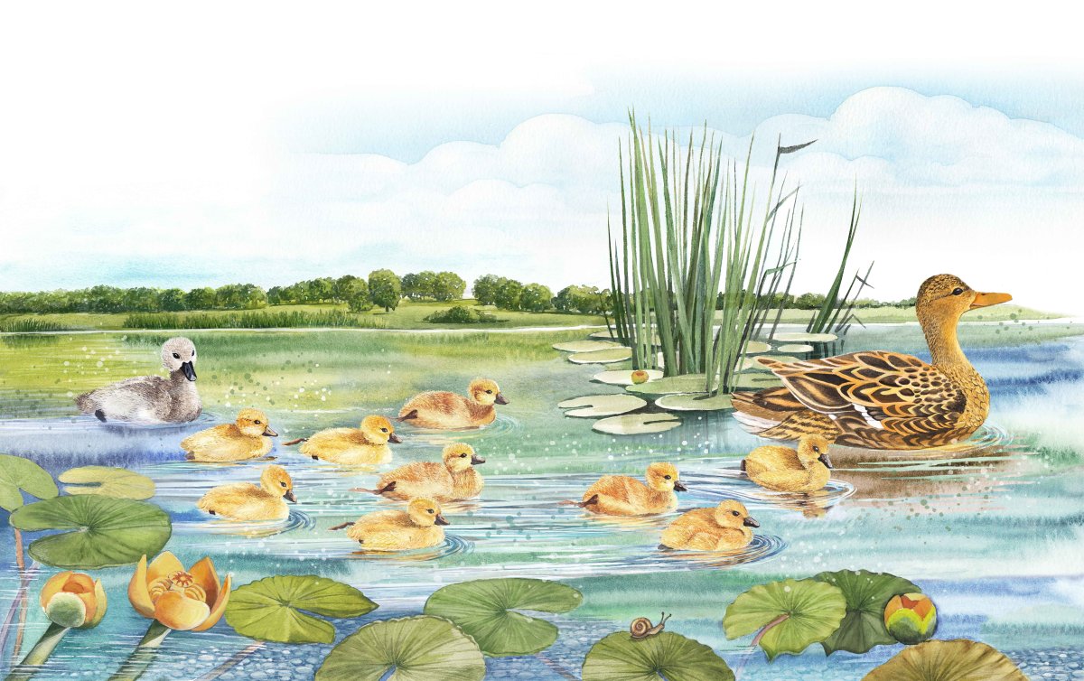 Гадкий утёнок аудиосказка