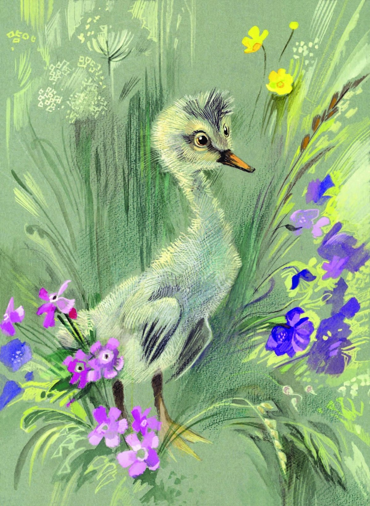 Гадкий утенок Андерсен