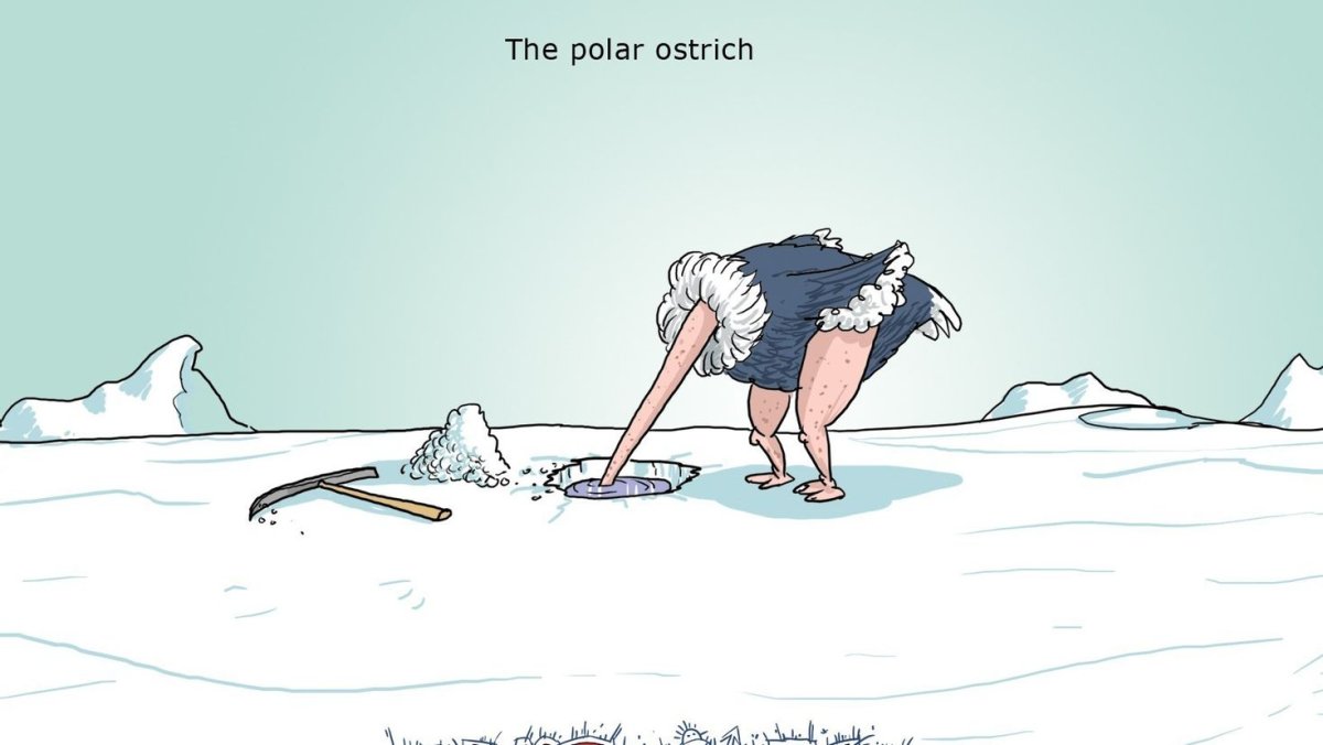 Лед карикатура