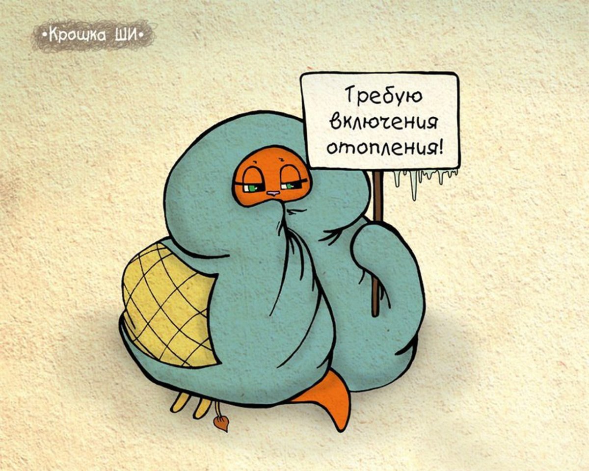 Приколы про холод в квартире