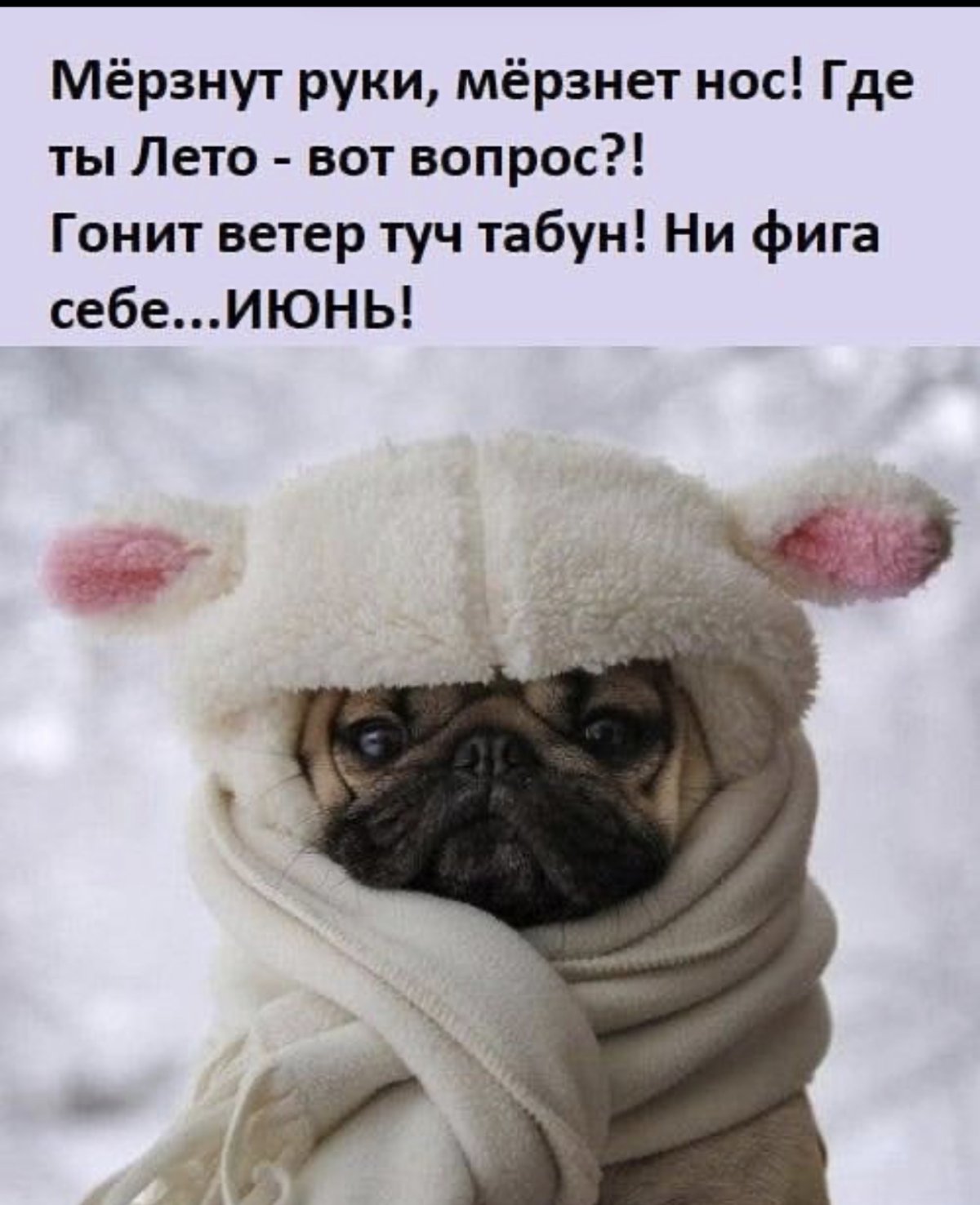 Мерзнут руки