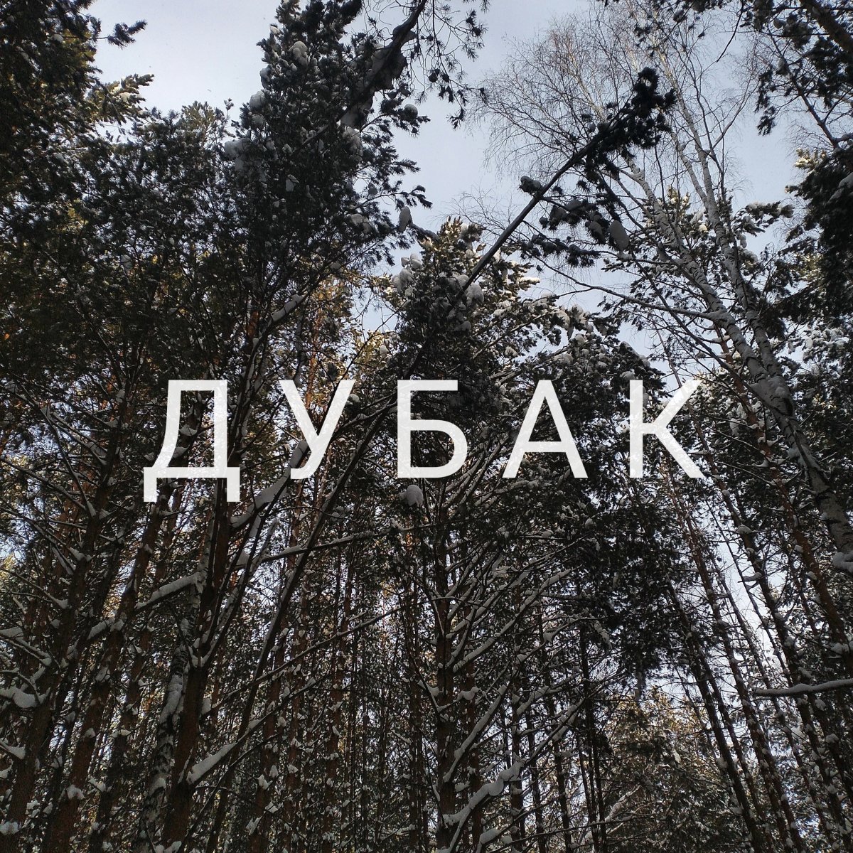 Вовка дубак