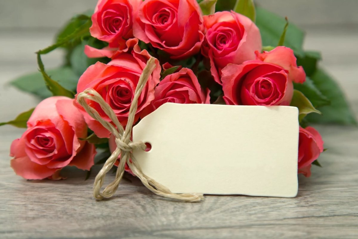 Фото с именем Сабина