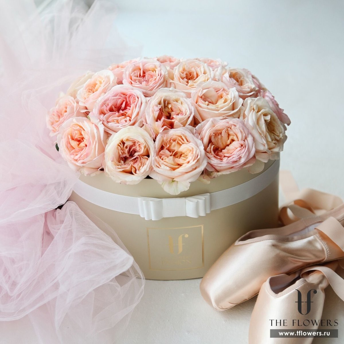 С днем рожденияприколтные