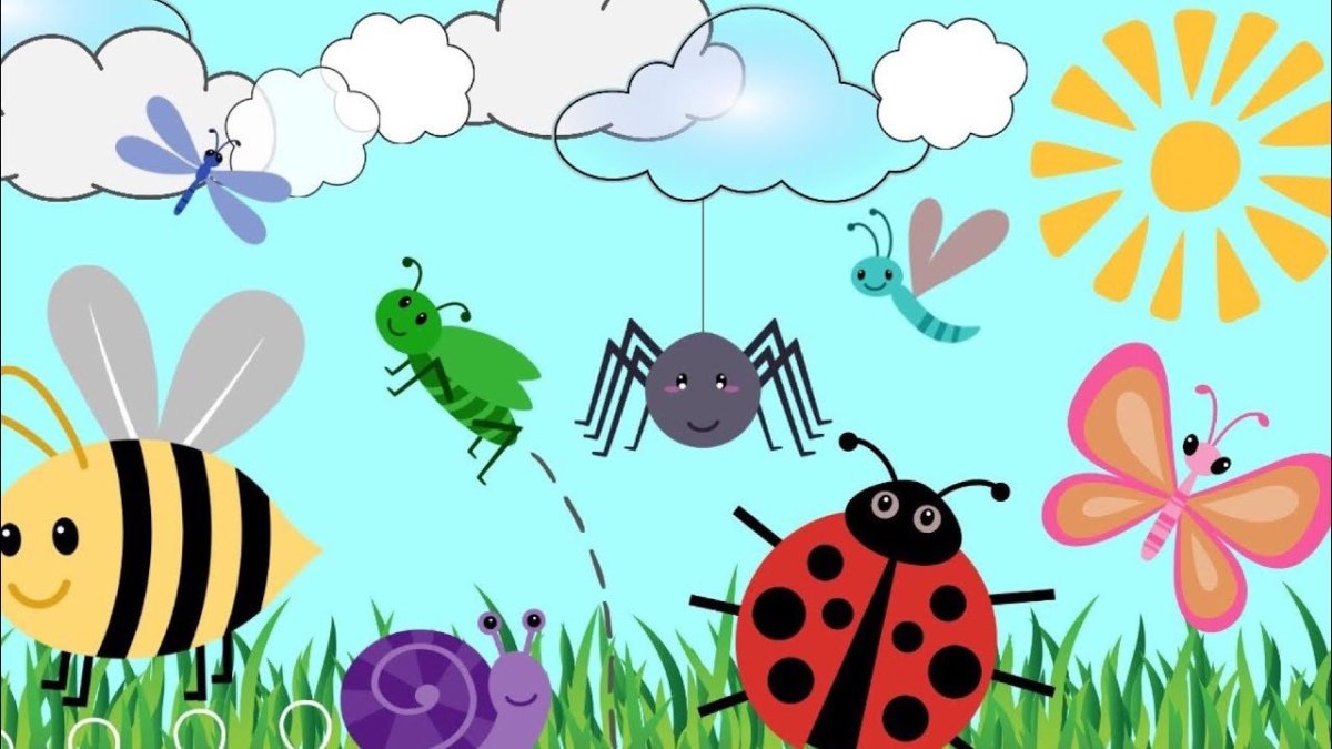 Божья коровка насекомое