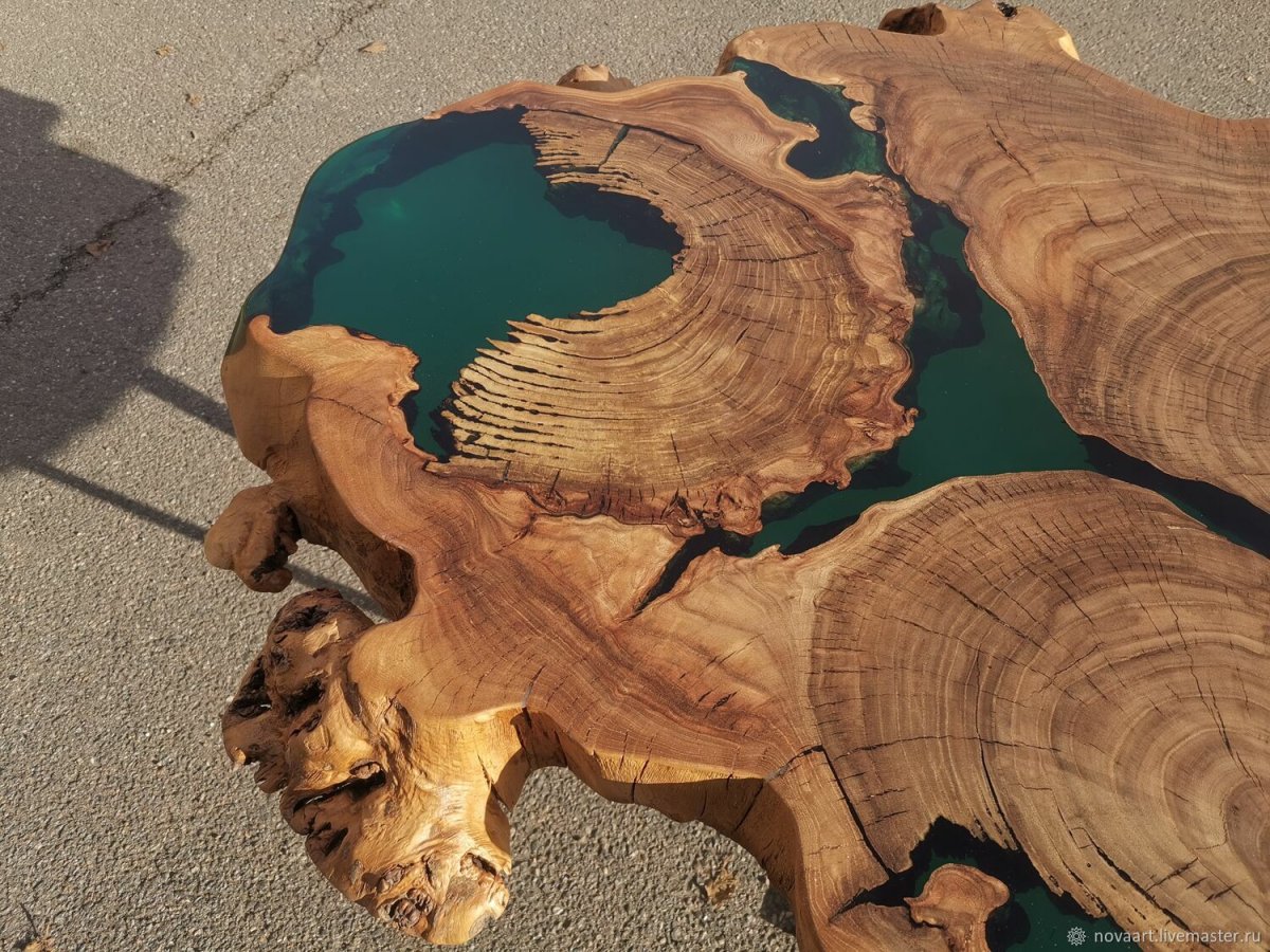 Вяз приземистый листья