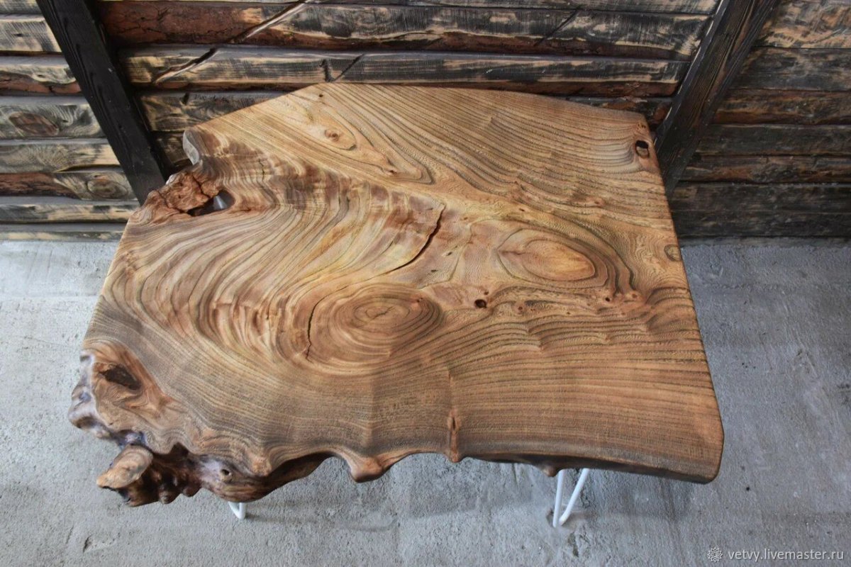 Вяз американский фото