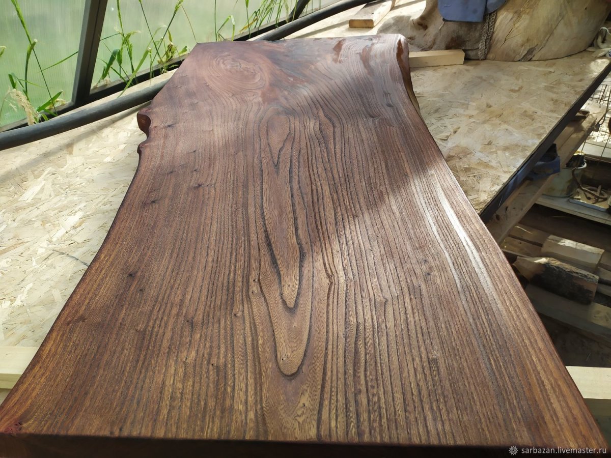 Вяз шершавый (Ильм горный)