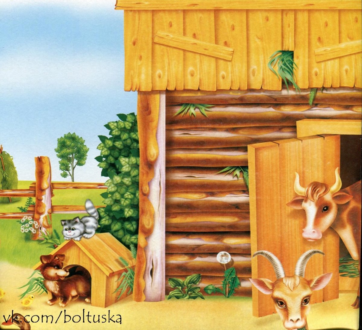 Двор для домашних животных