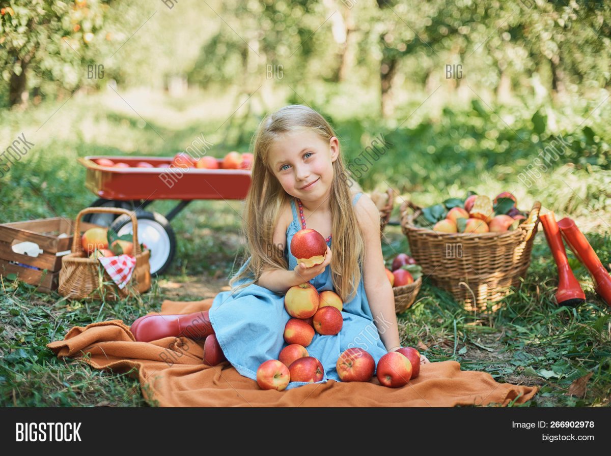 Фото девочки в саду с яблоками