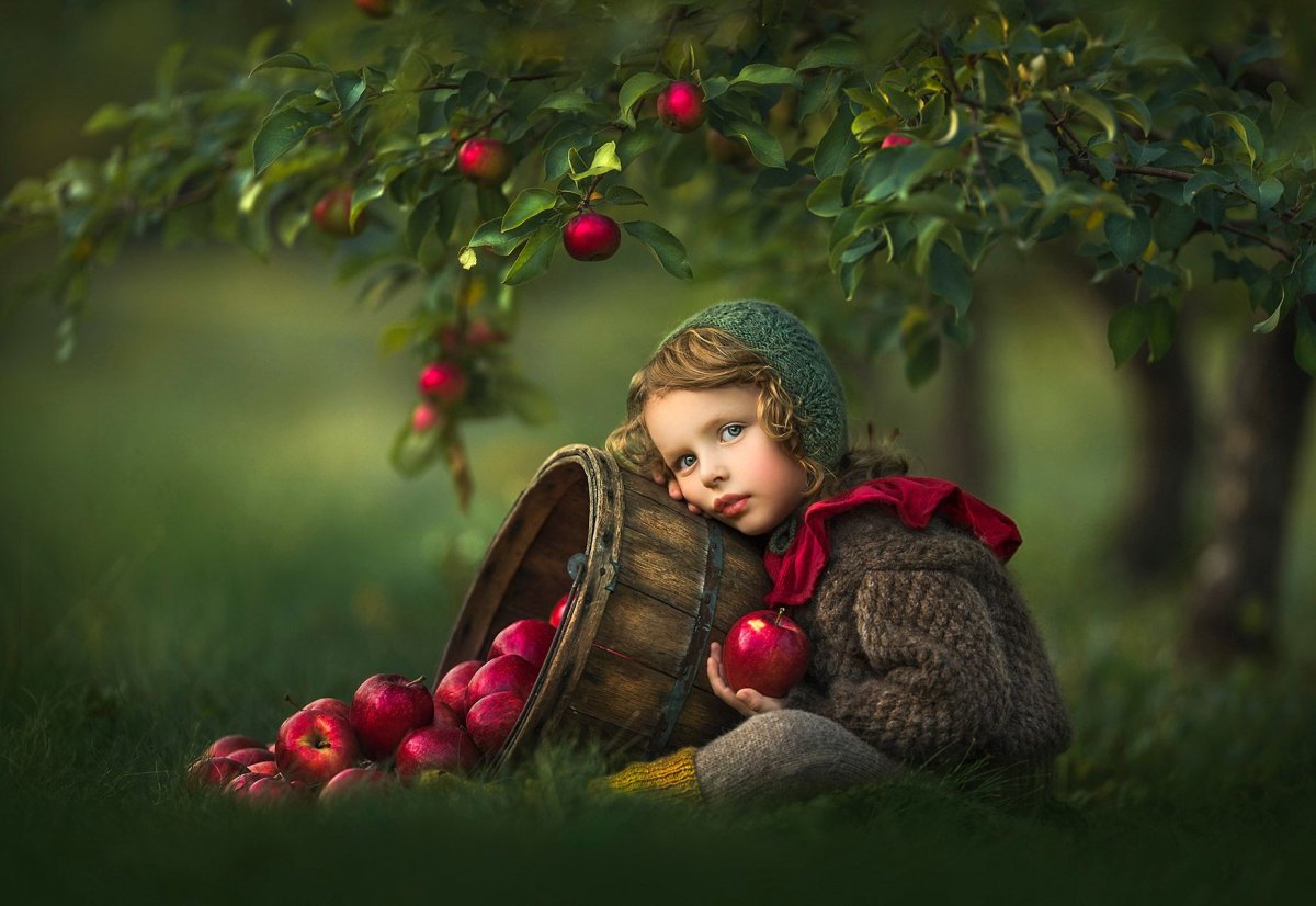 Фотопроект с яблоками