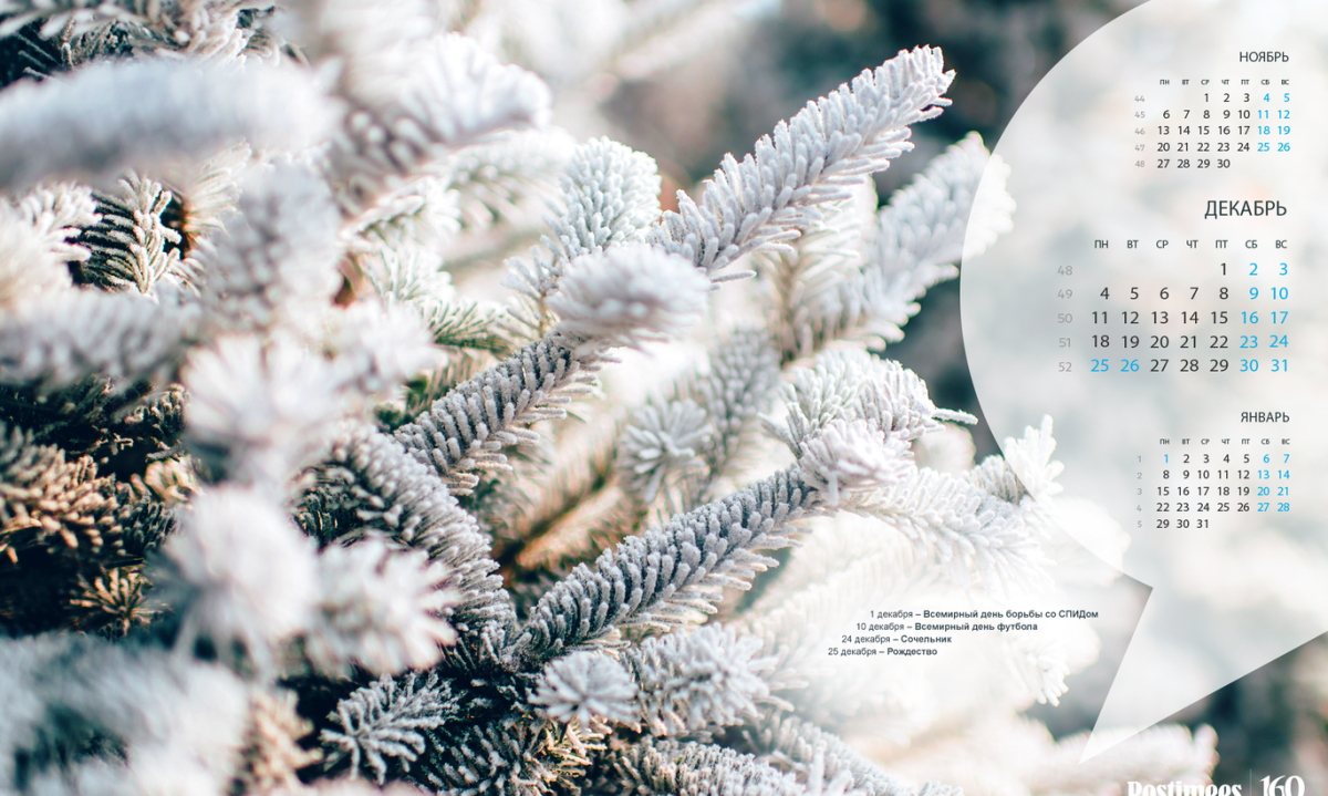 Зимний календарь