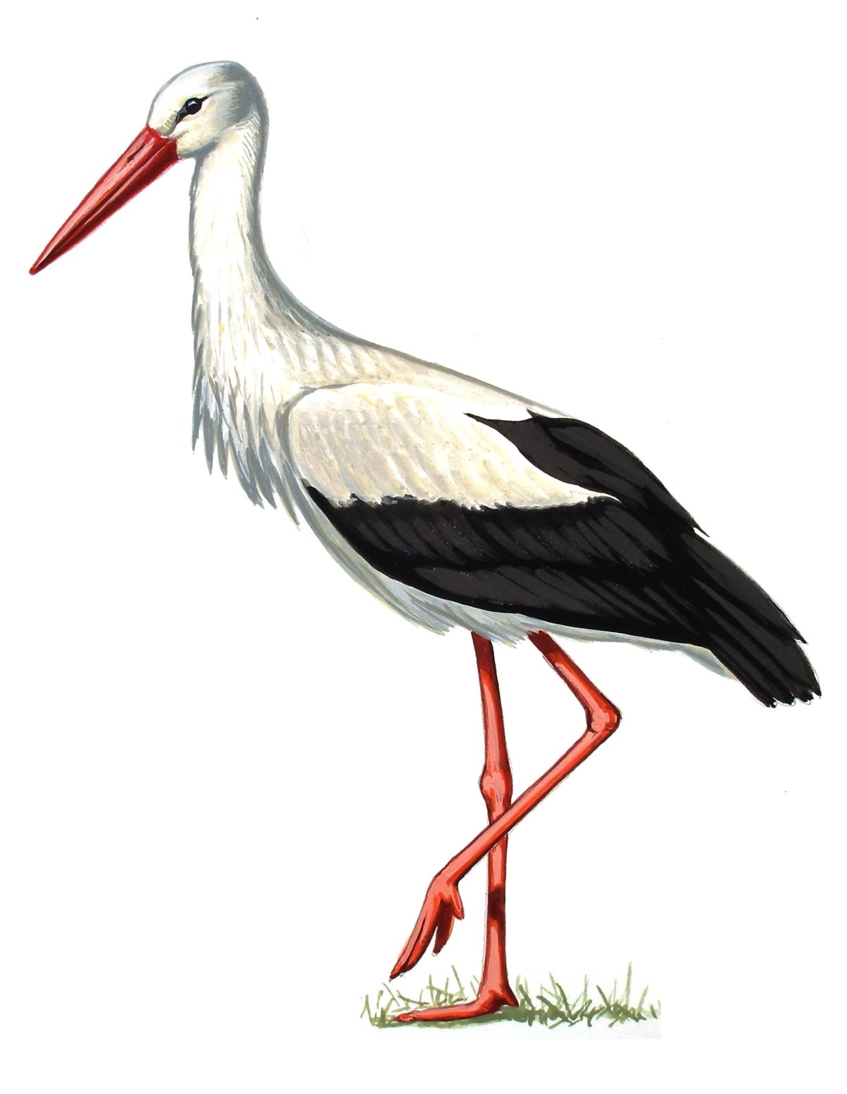 Аист с младенцем