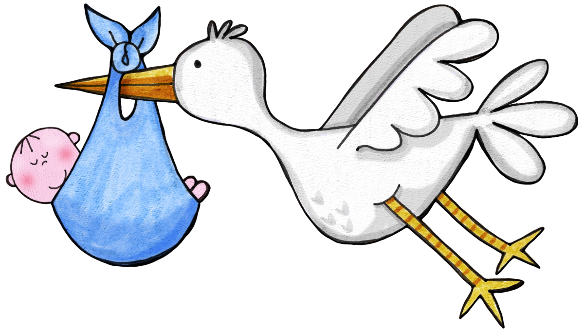 Аист летит с ребенком