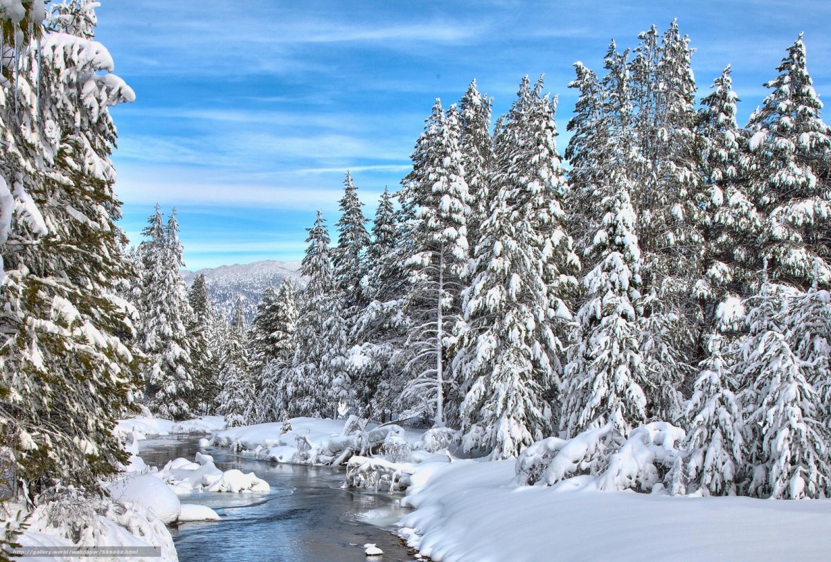 Сказочный зимний лес