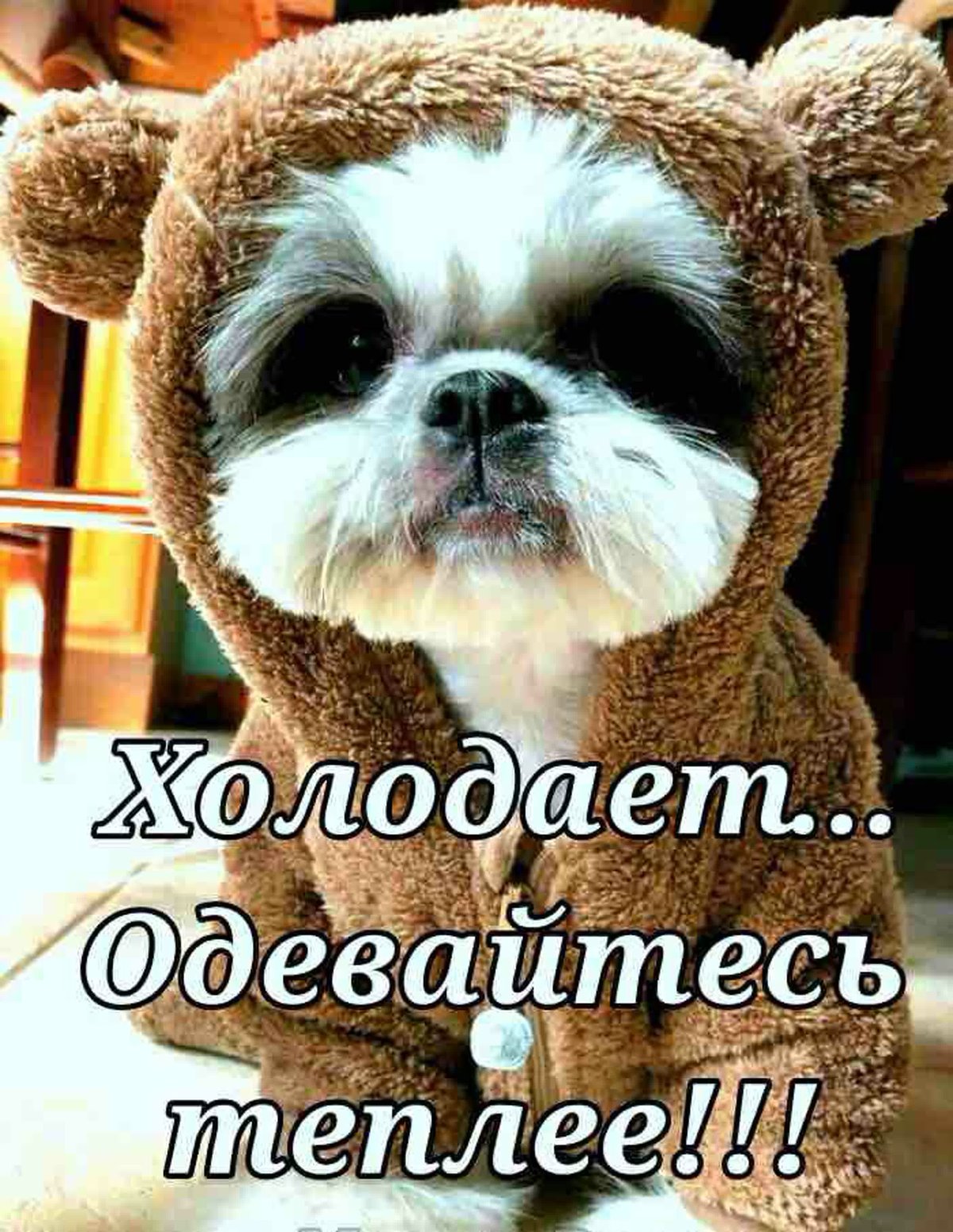 Одевайся теплее