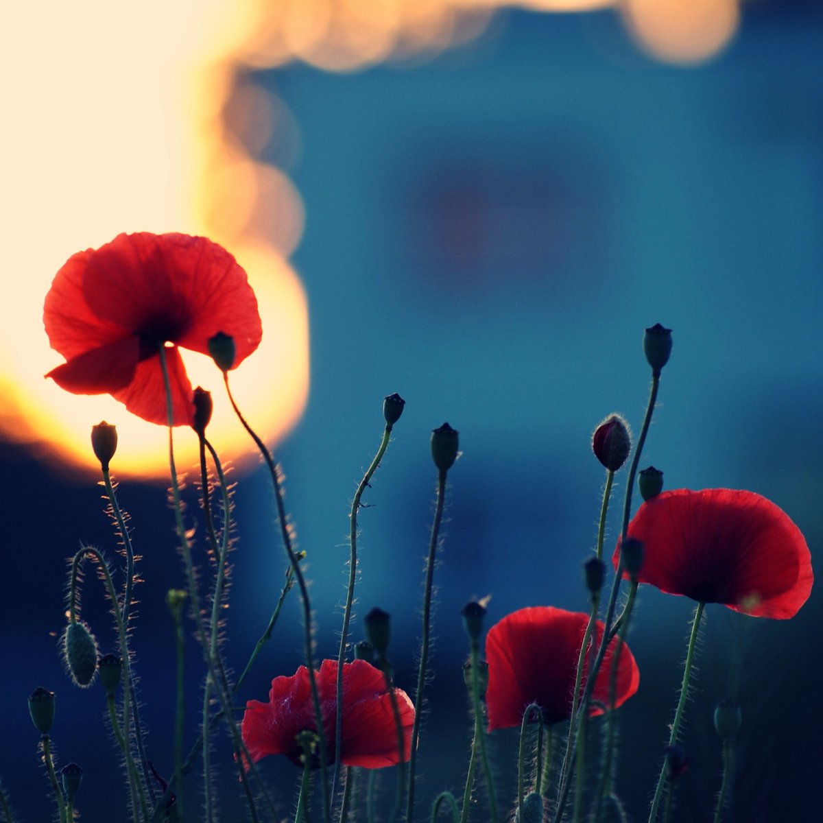 Позитивного вечера и хорошего настроения