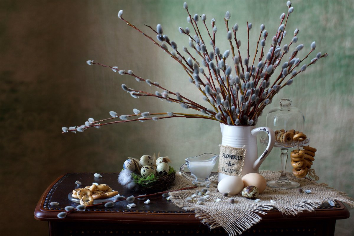 Коричневые цветы на вербе