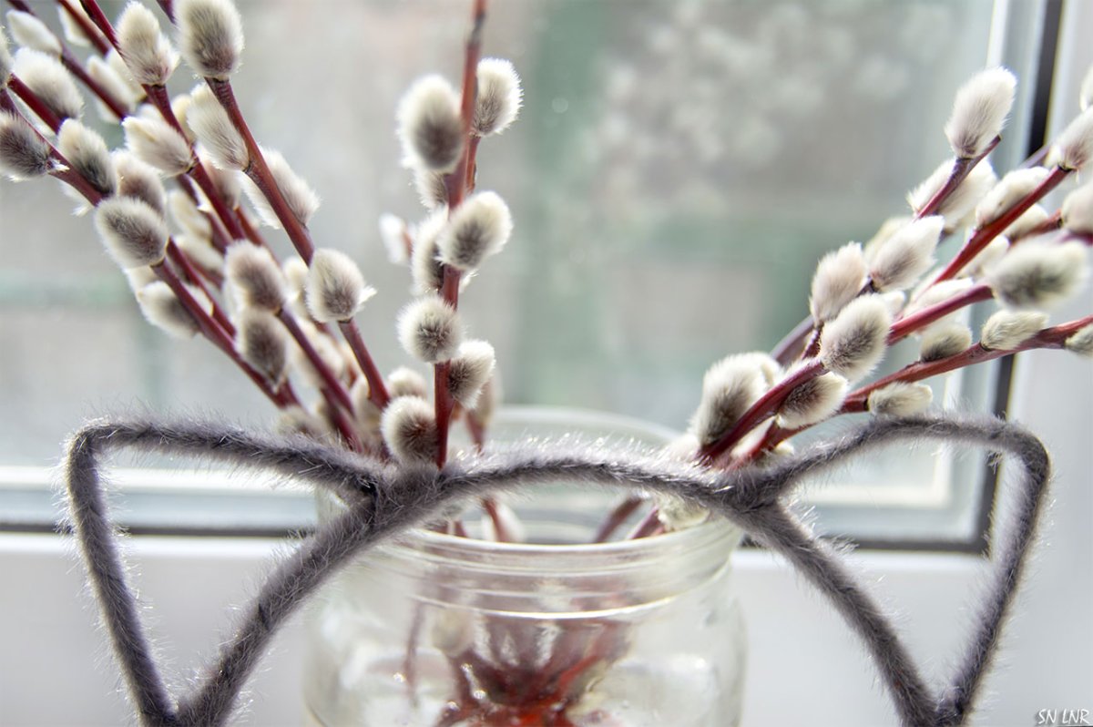 Почки на деревьях весной