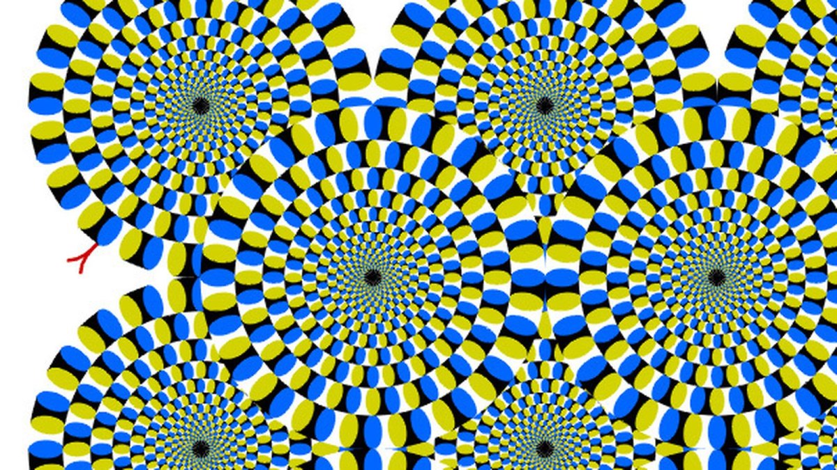 Иллюзии и галлюцинации