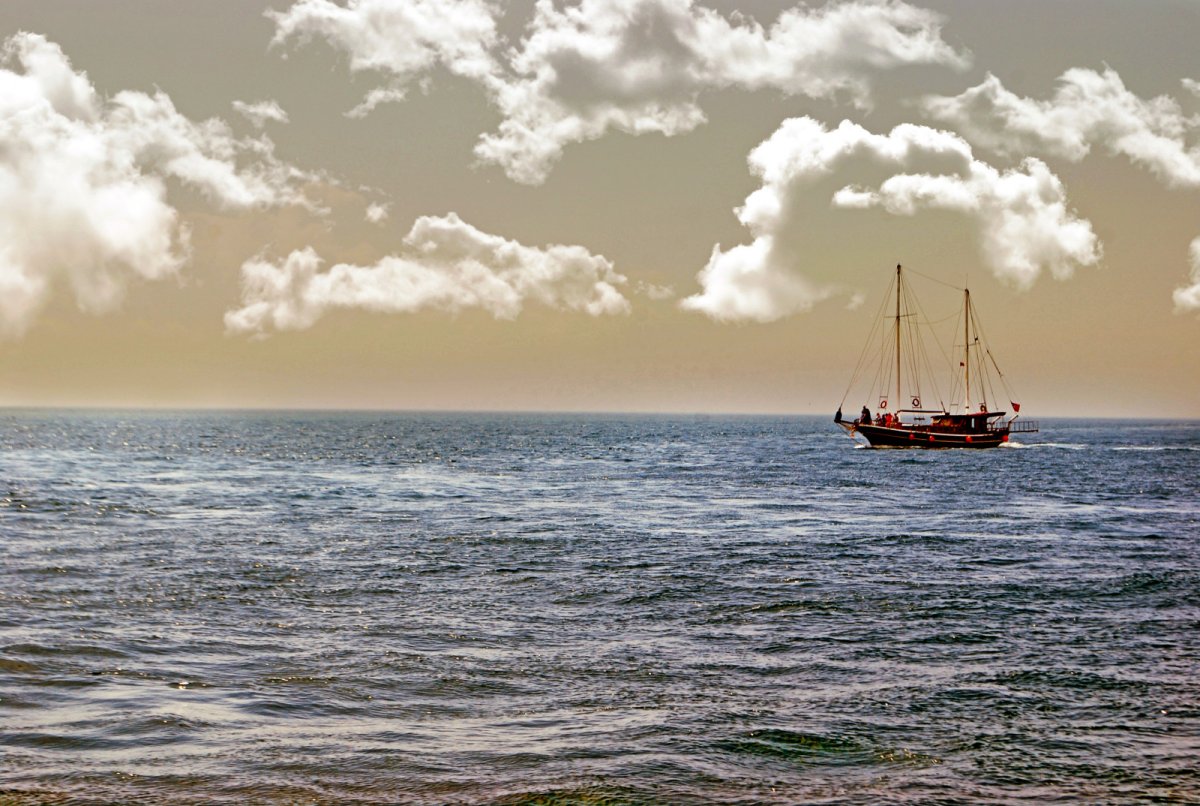 Парусник обои