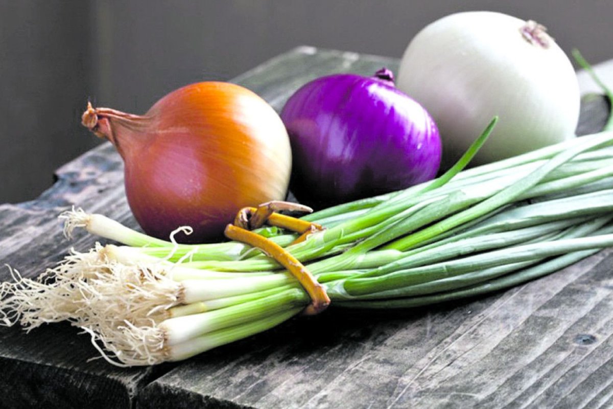 Лук репчатый