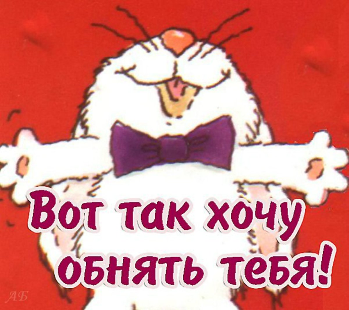 Коты Антона Горцевича и Алексея Долотова